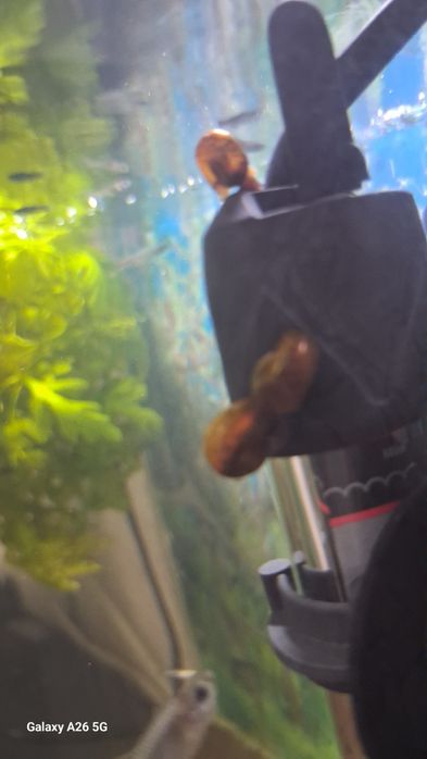 Улитки катушки недорого