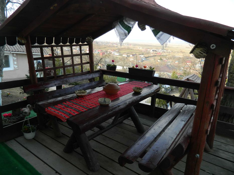 Casa langa primaria Probota