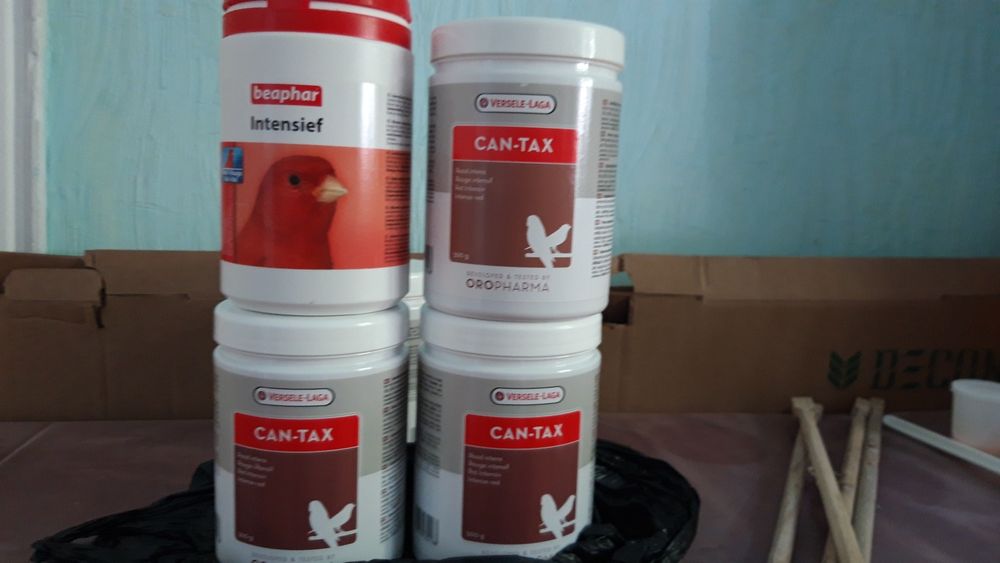 Краска для окрашивания канареек.