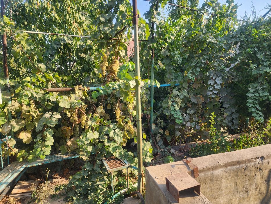 Продаётся дача с кадастром