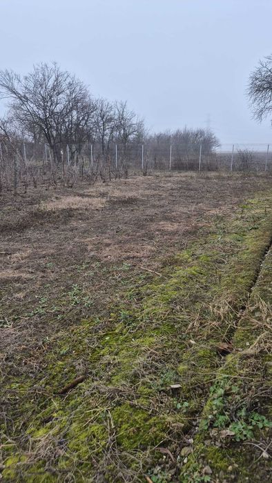 Vand casa si teren in sat Darvari jud Prahova strada principala
