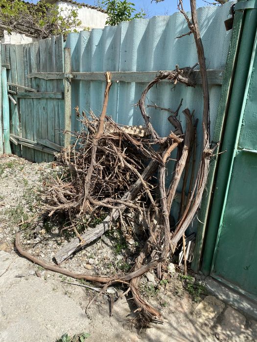 Дрова для использования