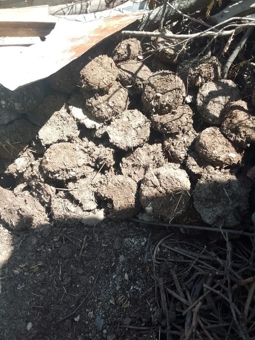 Тезек сатылады құйылған