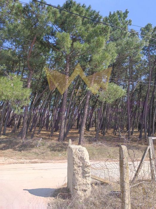 Продава се Парцел в Варна, м-т Боровец - юг - 1745 кв.м за 63 €/кв.м - Снимка #2