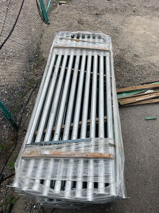 Струпцина стальной