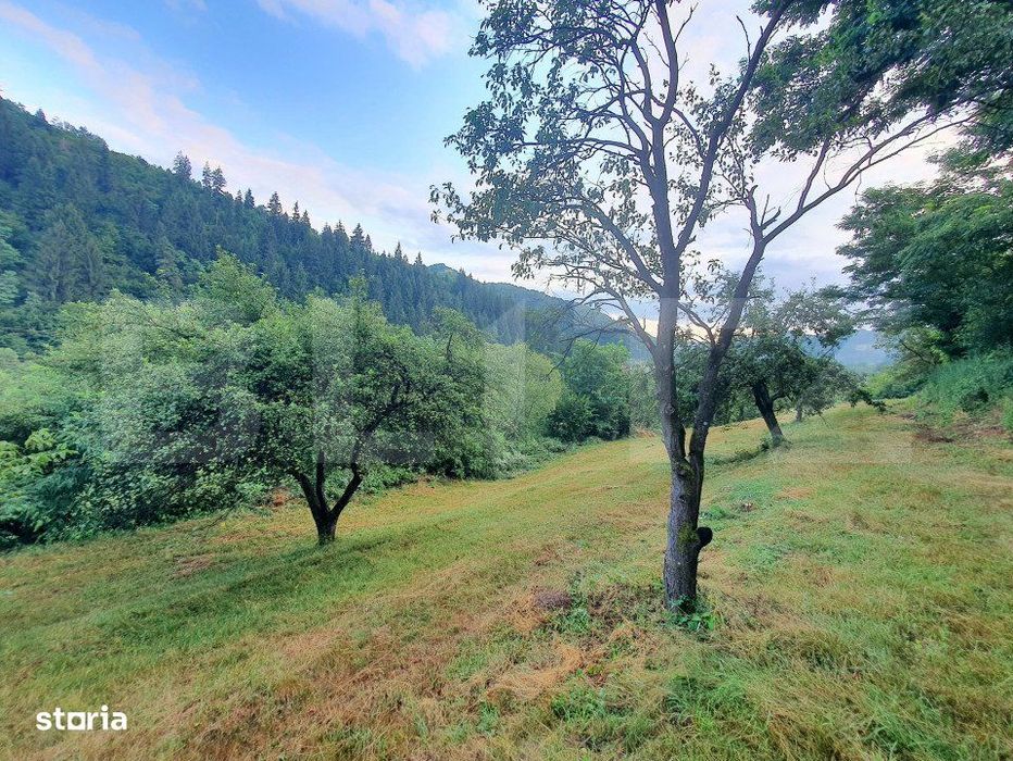 Teren intravilan, 31 ari, Ilva Mica, zona montana