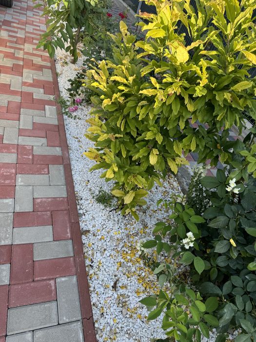 Calcar,granit,marmura,piatra decorativa,nisip,piatra ,amestec,pamant