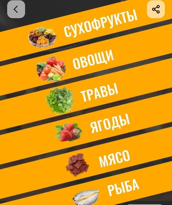 Сушилка для фруктов и пастилы