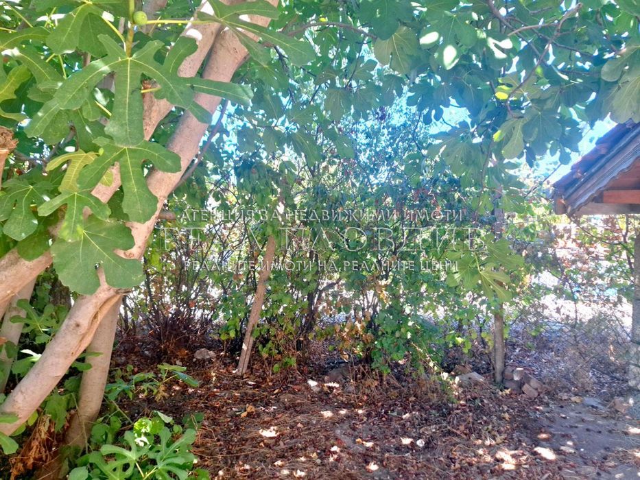 Парцел в Пловдив, област-с.Чешнегирово площ 899 цена 26000