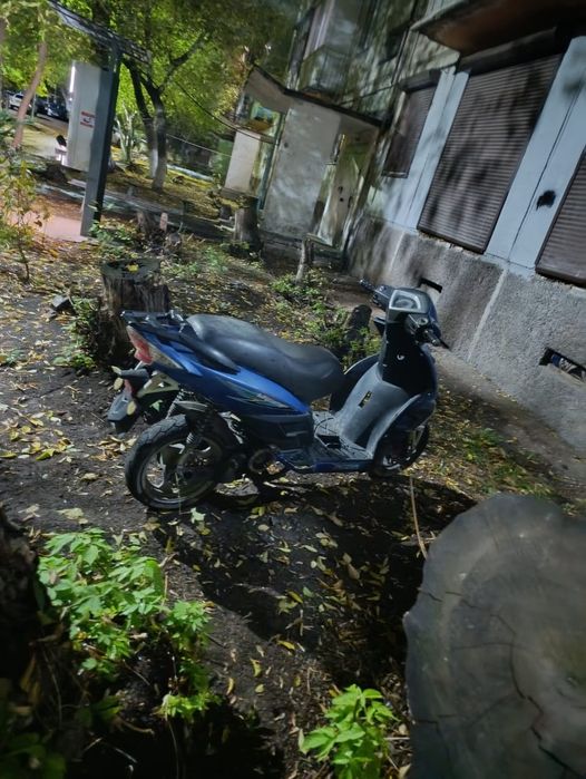 мопед 150 кубов peda eagle нового образца