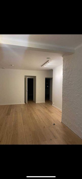 Профессиональный ремонт домов и квартир