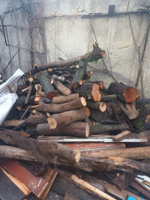 Урик утин мевали дарахт