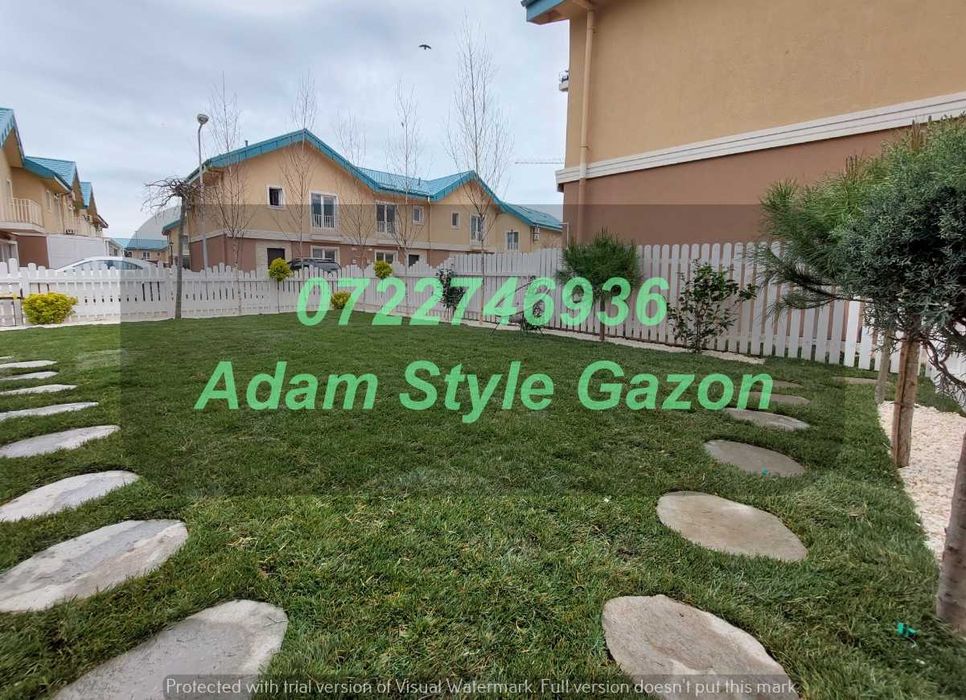 Gazon Verde pentru Amenajări Exterioare