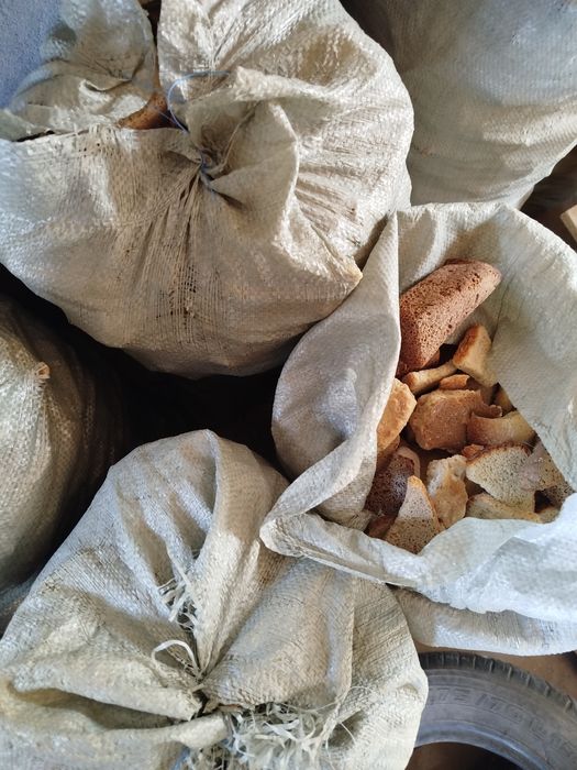 Корм для животных