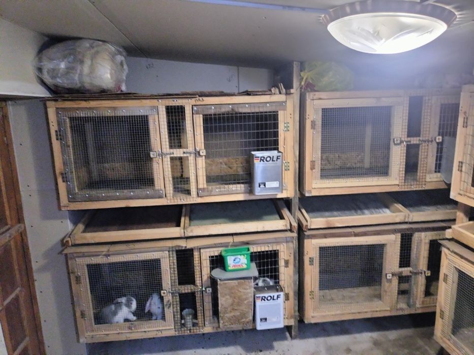 Продаются клетки для кроликов