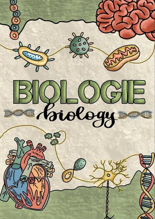 Meditații Biologie Anatomie