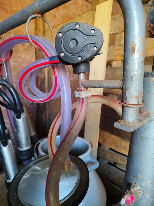 Vînd aparat de muls goardelini