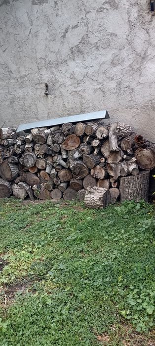 Дрова отын урюк орех
