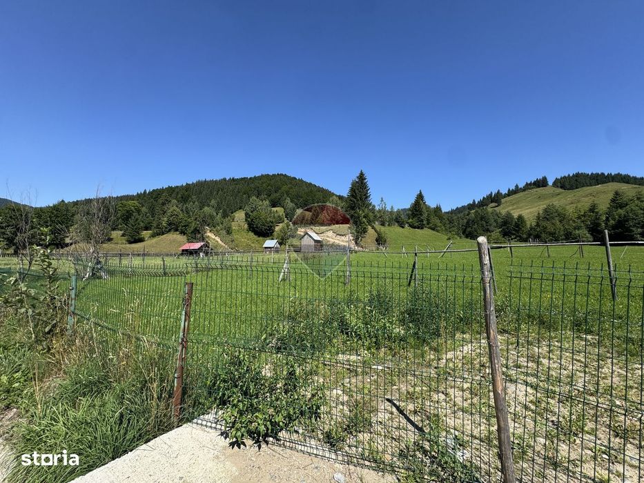 De vanzare | Teren intravilan 7620mp | Vitoria Lipan | Borca| Neamt