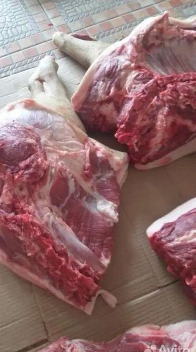 Продам домашнее мясо свинины