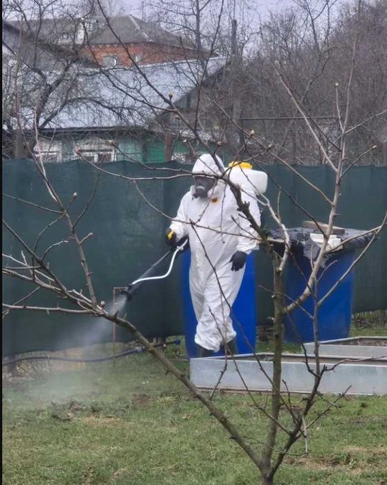 Дезинфекция от клопов, тараканов, грызунов | гарантия до 3 лет