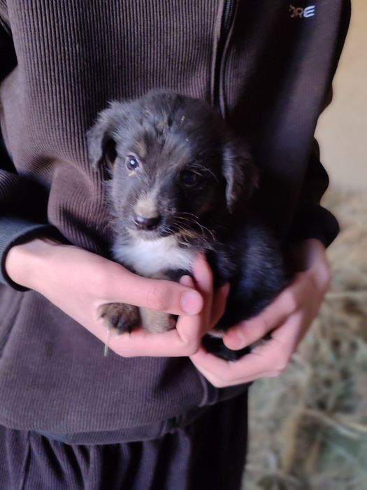 Яхши инсонларга хадия киламан