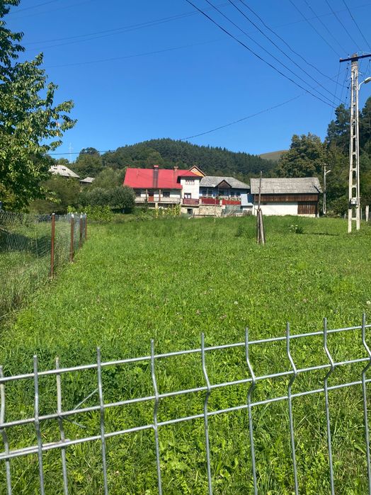 Vând teren Buhalnita