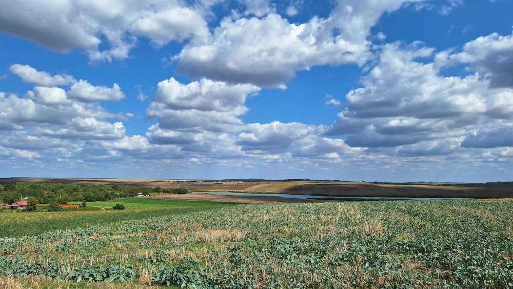 TEREN INTRAVILAN 20.800 MP | Pe malul lacului | Naipu – Giurgiu | 9 €/MP