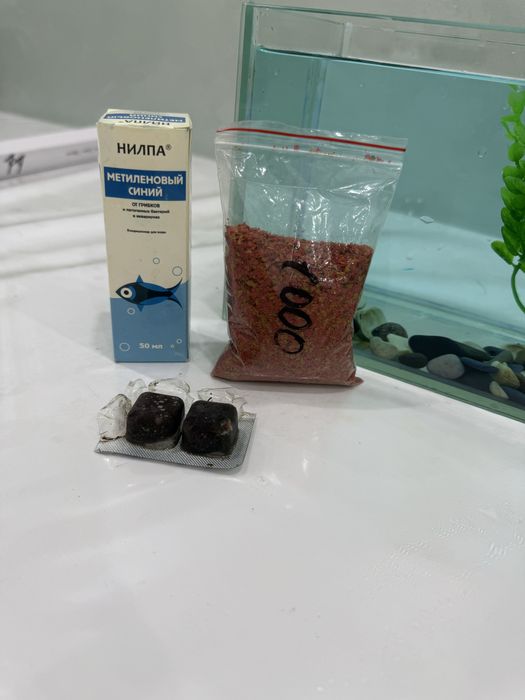 Аквариум с рыбкой и сомиком