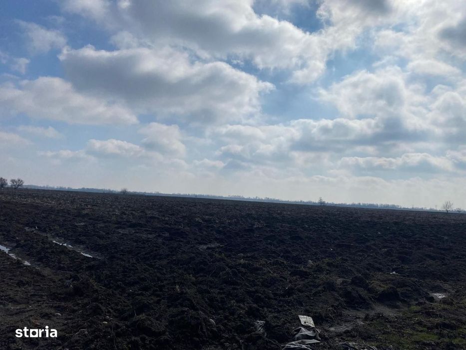 Oportunitate!Teren de vânzare – Comuna Răzvad, Sat Valea Voievozilor