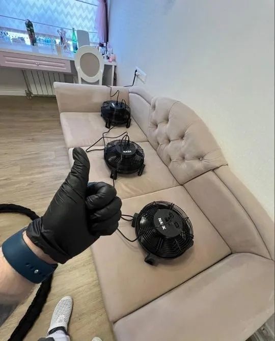 Аренда моющего пылесоса karcher