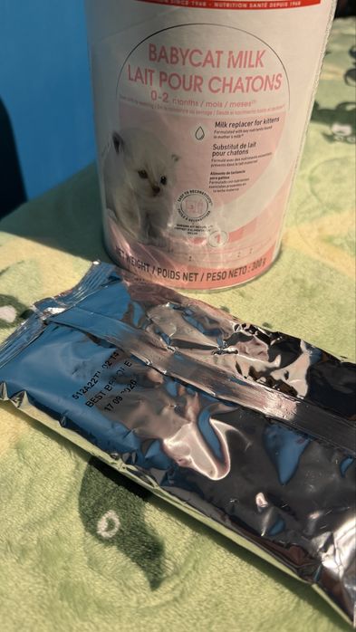 Lapt pt pui de pisica Royal Canin