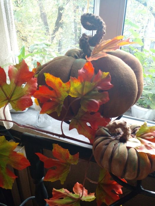 Декоротивная тыква