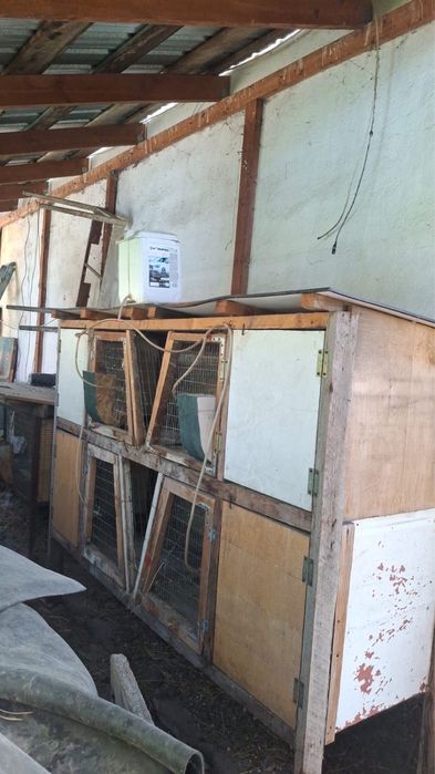 Продам крольчатники