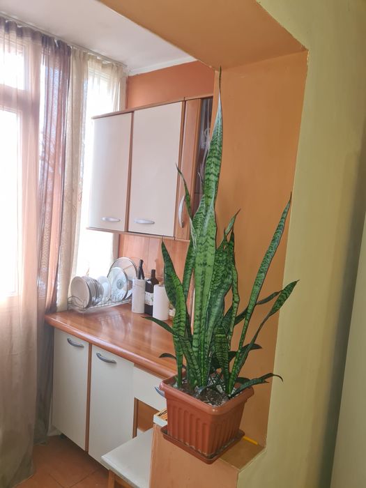 Vand apartament Motru
