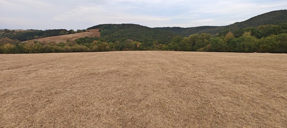 Vând teren extravilan 3,54 hectare