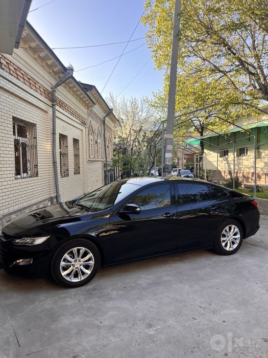 Malibu Premier Sotiladi