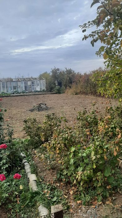 Продаю дачу в обществе ,Каучук,