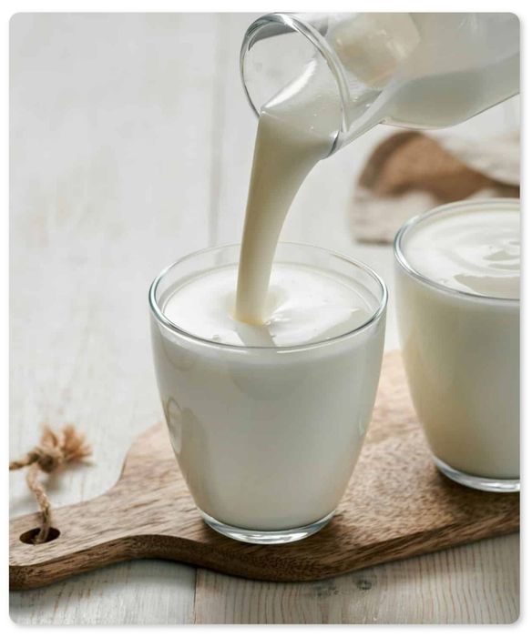 Ciuperca chefir, bacterie probiotica kefir.