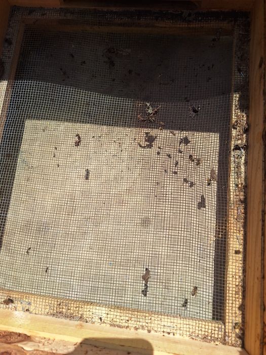 Рамки и пчелни кошери