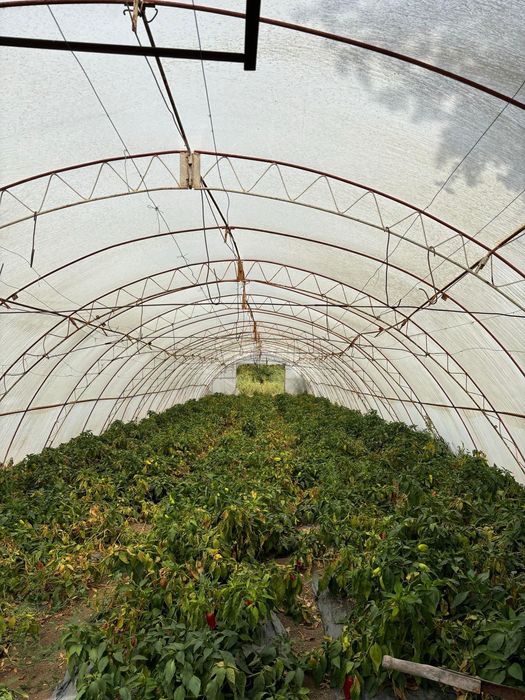 Продавам оранжерии и инвентар