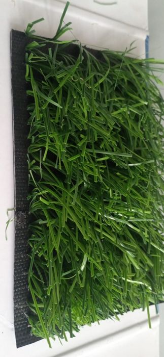 Teren de sport multifunctional