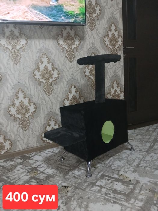 Мушукчалар учун уйча кул иши янги