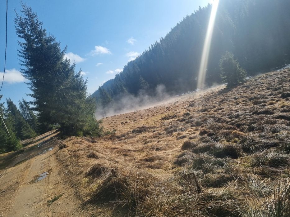 Vand teren la Poiana Horea