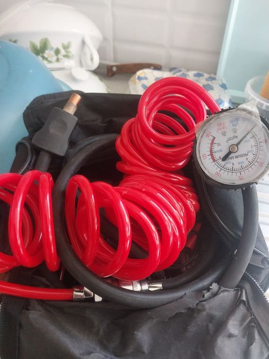 Боксёр першатка сы