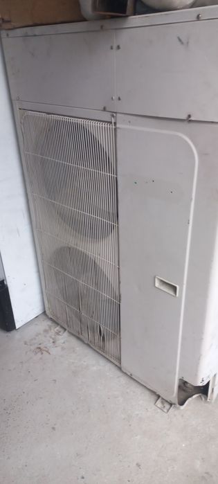 Kabditsaner soz xolda