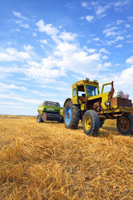 Traktor.   T-40.! sotiladi.