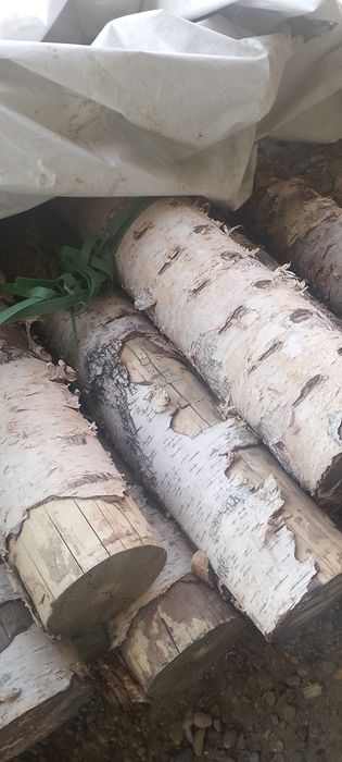 Oq bolorlar sotiladi dastafka xizmatlar   bor