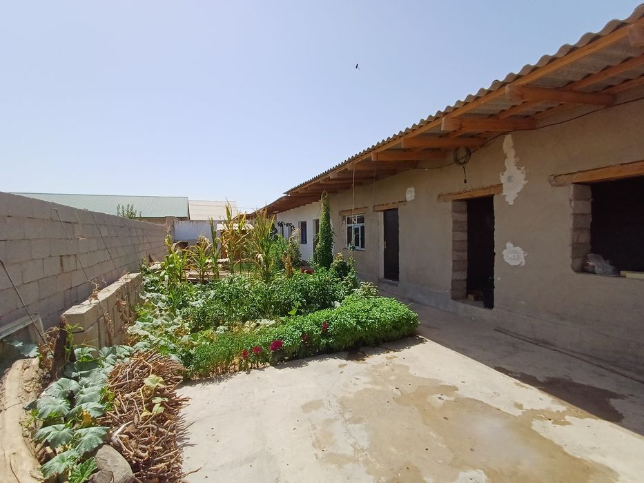 Uy sotiladi termez tumani termez maxalasida