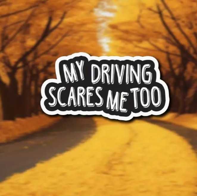 Стикер "My driving scares me too"